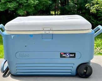 Igloo Cooler