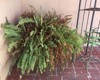 Plats, pots, yard art and more.