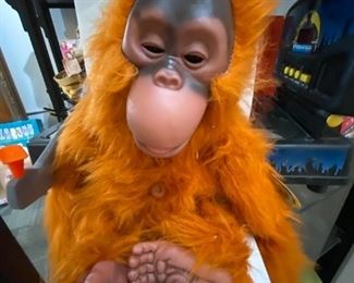 Orangutang with electronics