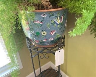 gorgeous asparagus fern, includes pot and stand 