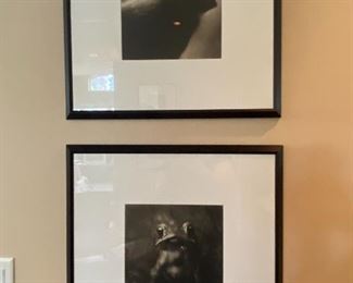 Cardinal by David Johndrow, Frog by David Johndrow