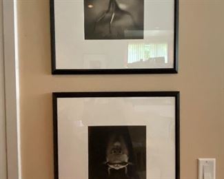 Mantis & Cicada by David Johndrow