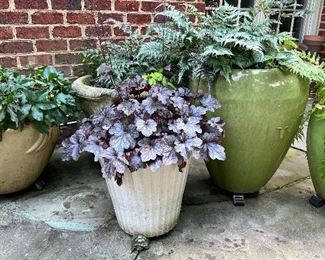 Large Outdoor Planters (plants included) 
