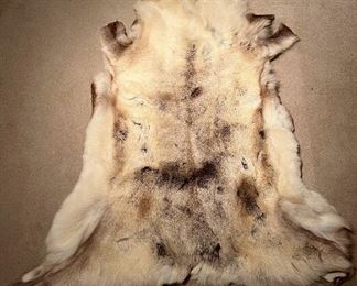 Wolf Hide Rug