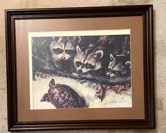 Large Framed Art Print of 3 Raccoons and Turtle