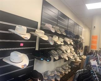 Wall hat display system