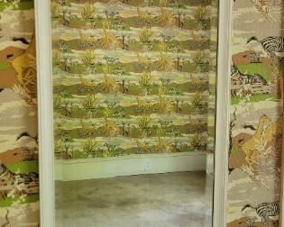 Mirror Bevel glass 42H X 20W X 1D