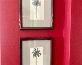 Pair of palm tree botanical prints.