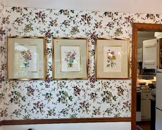 Set of three framed floral botanical prints.