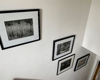 Black and white photography.