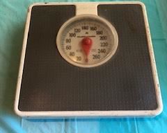 scale