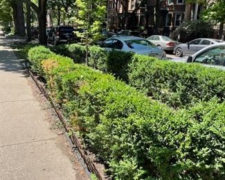 For specific prices and sizes go to this link: https://beforeudemo.com/sales-event/chicago-lakeview-demolition-sale/