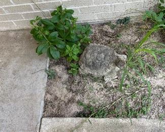 Cement turtle