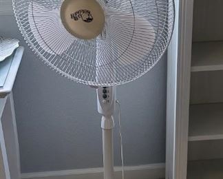 fan