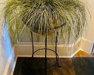 16______NOW $50 was $70 Foyer plant stand  