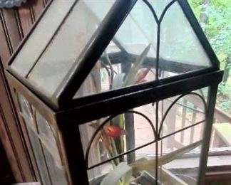 Glass and metal terrarium