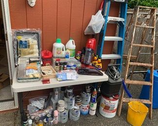 Painting and Cleaning Supplies