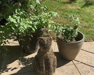 Outdoor Planters & Decor