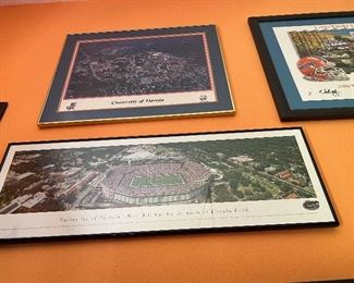 Florida gators prints