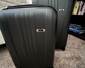 Skyway luggage
