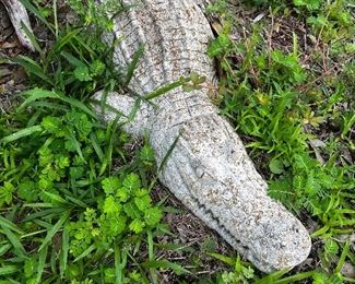 Concrete outside gator 