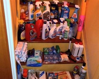 LOTS of cleaning supplies!