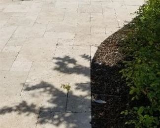 Gorgeous pavers