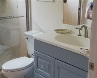Bath vanity; Kohler commode; shower doors