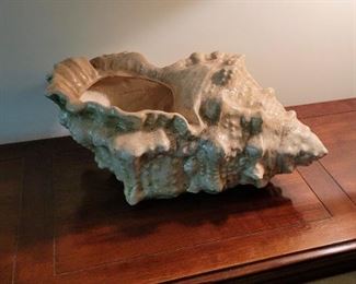 Oversized shell planter