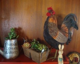 Feathered rooster, potted succulents