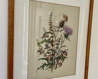 Botanical Prints