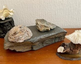 Rocks and Shells