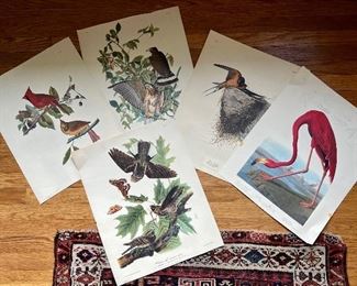 Vintage screen print birds