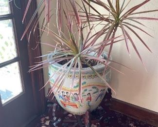 . . . Asian-themed planter, stand, and live plant