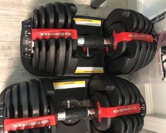 BOWFLEX WEIGHTS