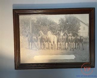 Vintage Framed Horse Print