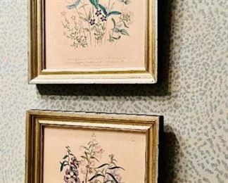 Botanical prints