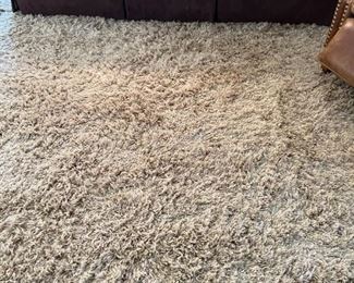 Sierra Collection, wool shag rug, 13x9.5