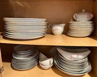 Royal Court Carnation