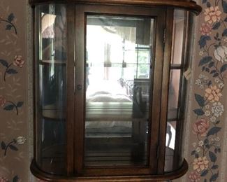 Wall Mount Display Case / Curio