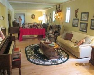 Living room - Leather Sofa, Vintage Coffee table, Area rug - misc