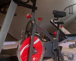 Sunny Health & Fitness Friction Upright Cycle Exercise Bike SF-B1423  

