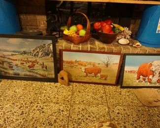 Hereford cattle pictures