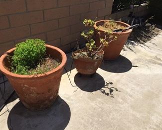 Plants, pots and yard art.