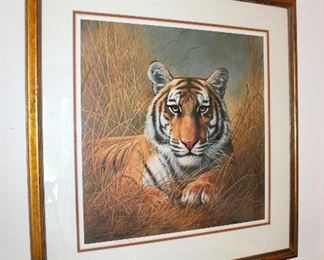 Charles Fracé signed framed tiger print