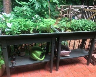 it would probably take me two days to kill all those plants. Cher says I smother them