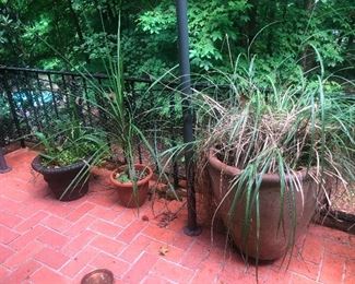 even the patio is tidy!