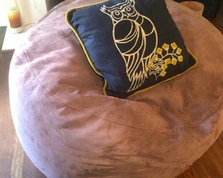 even for an owl, that owl looks surprised