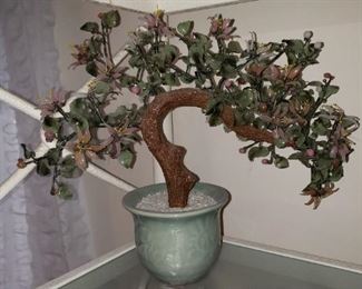 Jade bonsai