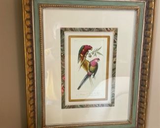 PRINTS OF BIRDS  $ 75.00